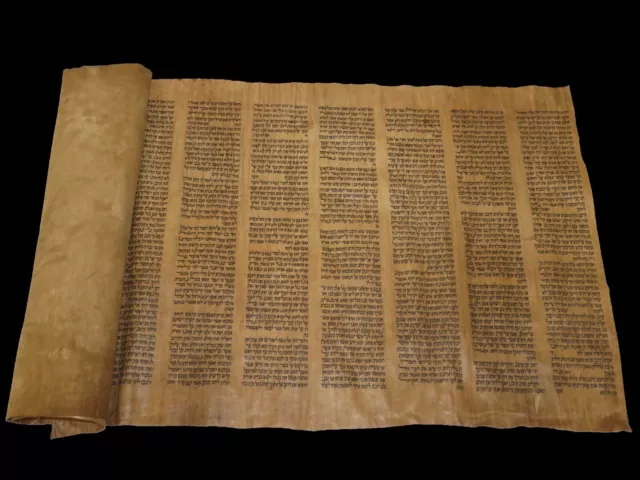 TORAH BIBLE VELLUM MANUSCRIPT FRAGMENT 300-350 YRS OLD YEMEN Leviticus 1:1-13:10 3