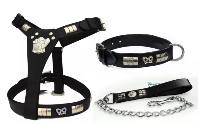 Leather Staffy Staffordshire Dog Harness,Collar & Chain Lead Chrome Knot Set