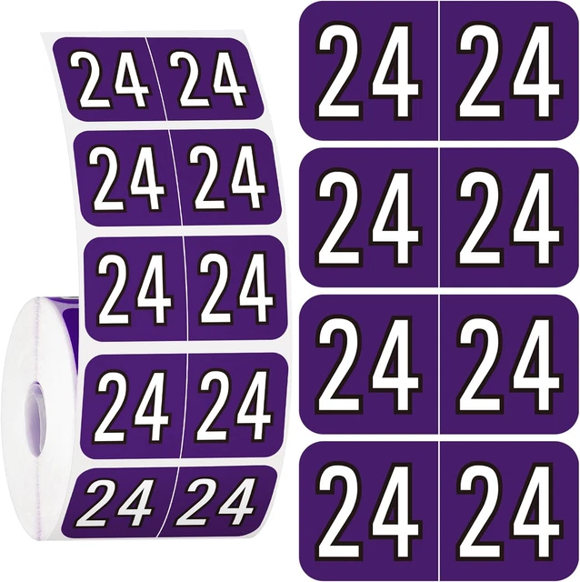 500 PIECES 2024 Year Stickers File Folder Year Labels Rectangle Coded