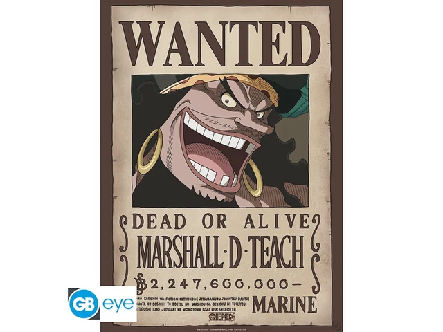 Décoration Chambre Fan One Piece Posters Chibi ONE PIECE - Set 2 Affiches Wanted De Luffy Et Ace - Collection Officielle Poster One Piece