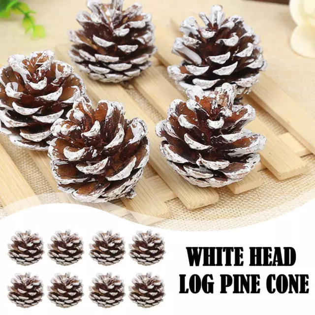 8x Pine Cones Christmas Wreath Making Supplies DIY Décor Frosted Pinecone T9V8