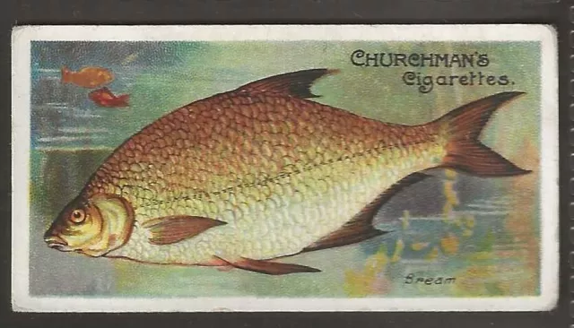 Churchman-Fishes Of The World 1912 (Rare Subject)-#09- Bream