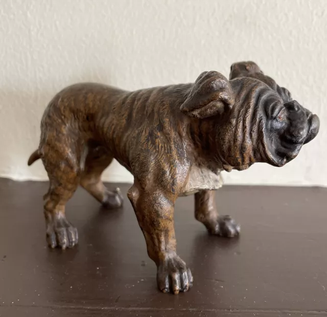Large Antique Vienna Bronze Bulldog Dog Cold Painted