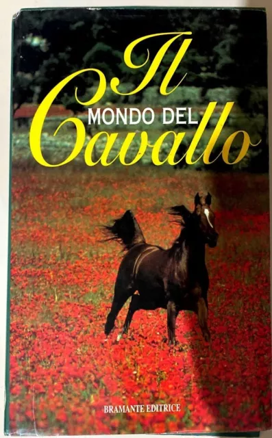 Il mondo del cavallo