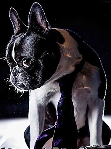 5D Diamond Painting Boston Terrier Dog Diamond Dots Painting Art Mosaic Craft