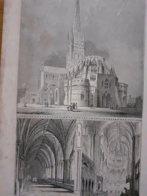 Druckgravur Norwich Cathedral