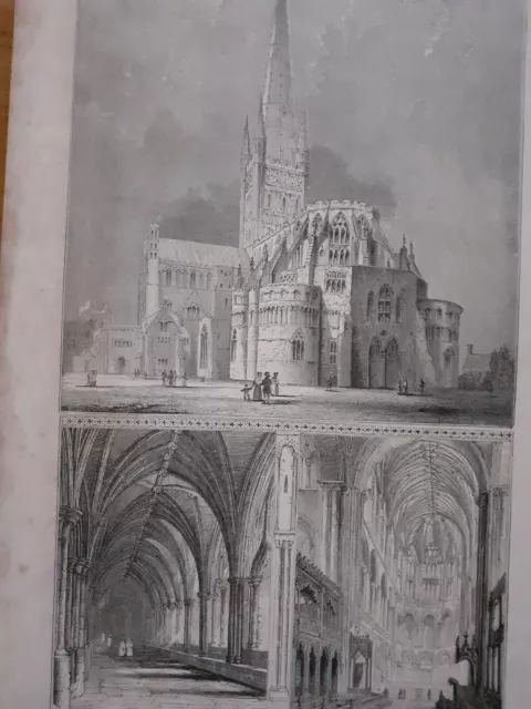 Print engraving Norwich Cathedral