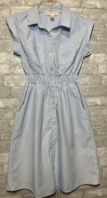 NWOT Monteau Los Angeles Blue White Stripe Shirt Dress Elastic Waist Size Small