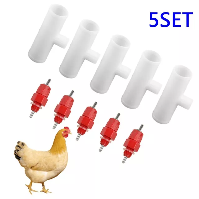 5 Ensemble Abreuvoir Volaille Poulet Poule Automatique Raccord De Buveur