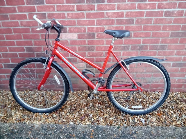 Raleigh max sales ogre 15