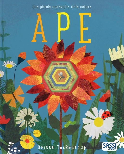 Ape. Ediz. a colori - Teckentrup Britta