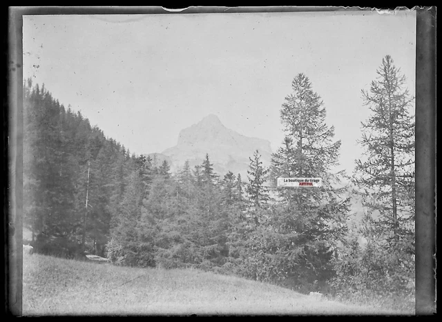 Plaque verre photo ancienne négatif noir et blanc 6x9 cm paysage Alpes montagne