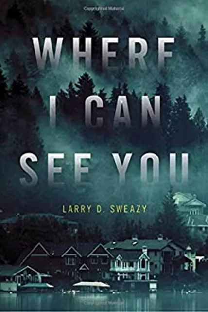 Where I Can See You Paperback Larry D. Sweazy