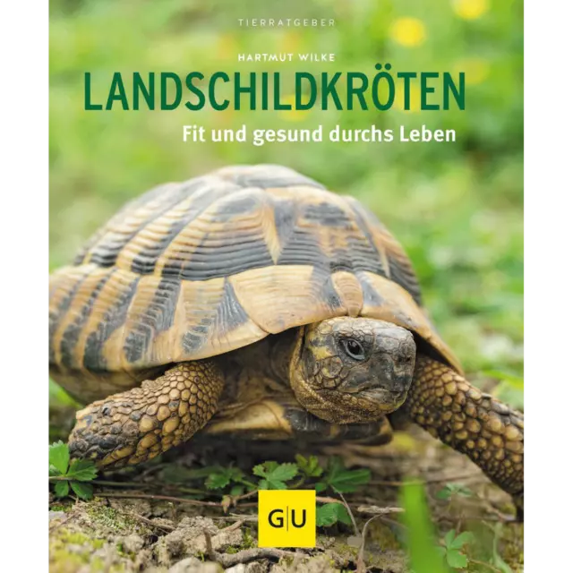 Landschildkröten: Fit und gesund durchs Leben