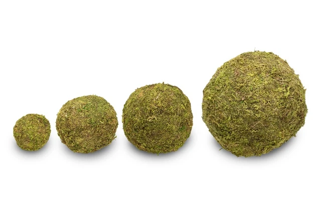 Bola de musgo NaDeco con diámetros de 8, 10, 15 y 20 cm a elegir | bola de musgo