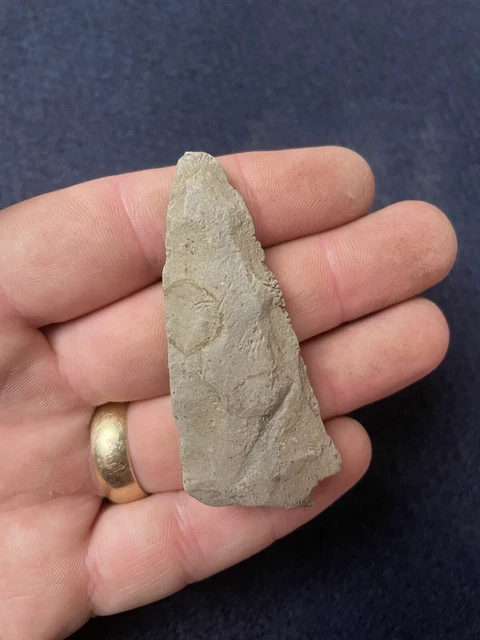 Argillite Point New Jersey Arrowhead Authentic Indian ￼Artifact