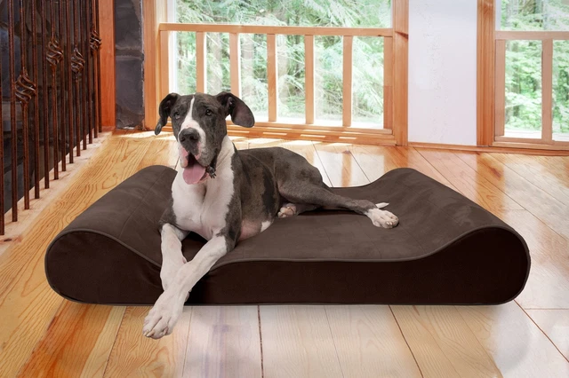 Luxe Lounger Contour Dog Bed - Microvelvet