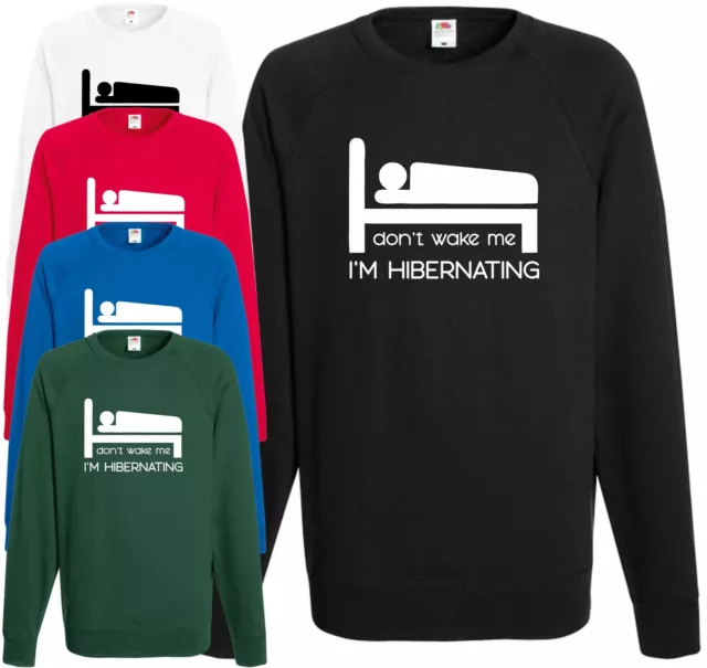I'm Hibernating Sweatshirt Funny Comedy Gift Jumper Lazy Present Top Joke Gift