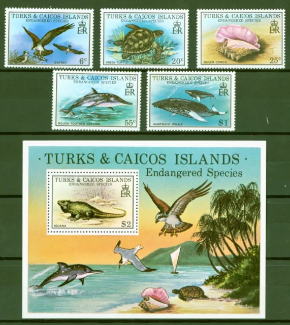 Turcas + Caicos 1979 - Delfín tortuga ballena águila pescadora - N.o 425-29 + Bloque 14