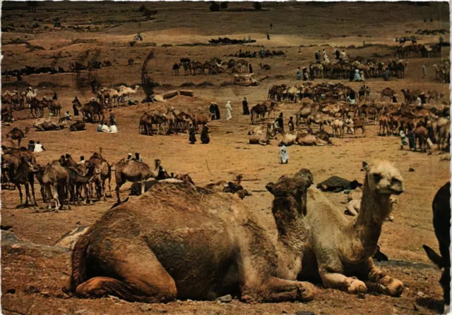 CPM AK MOROC Le MAROC Picturesque. Goulimine. Camel Walk (342494)