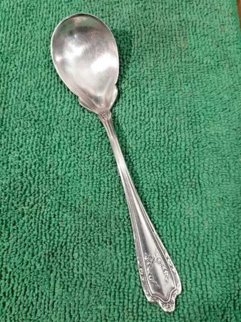 Vintage Collectable  Silver Plate Tea Spoon  6" G. R.  Daniels