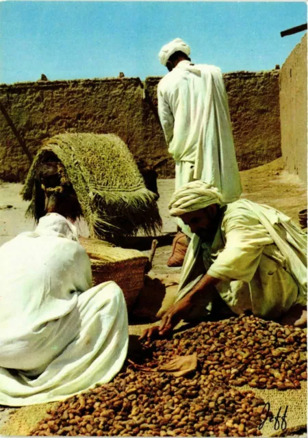 CPM AK Souk des dattes a Goulimine MAROC (880834)