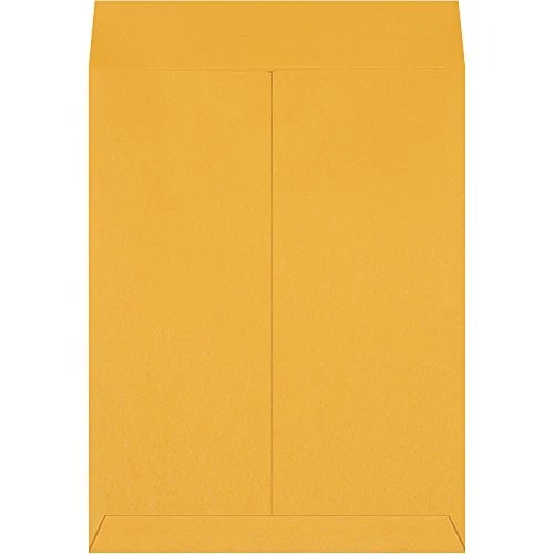 Poly Bag Guy Jumbo Envelopes 14" x 18" Kraft 100/Case