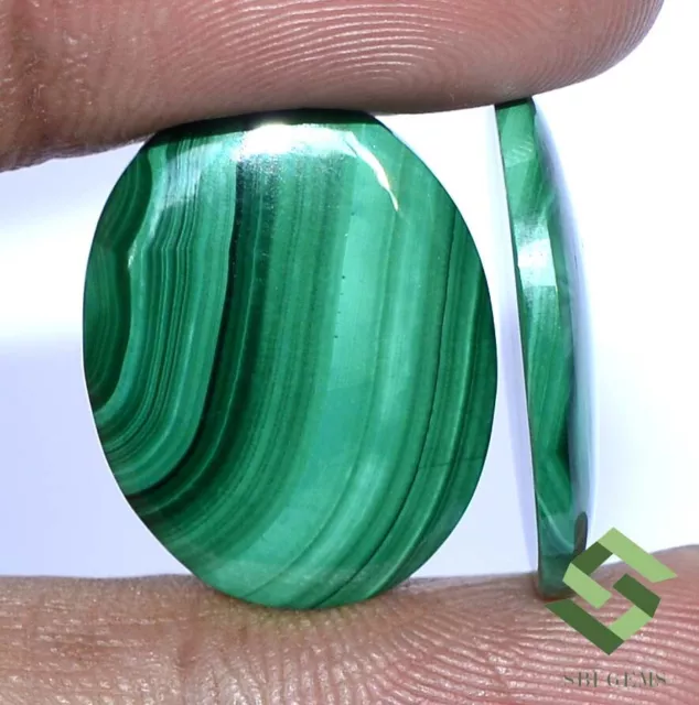 26.86 CTS Natural Malachite Oval Cabochon Pair 21x16 mm Untreated Loose Gemstone 3