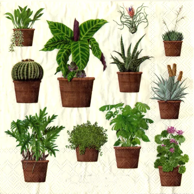 Serviettes en papier plantes botaniques de Hollande. Napkins botanical plants