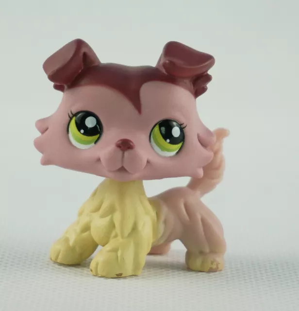 Littlest Pet Shop Rare Collie Dog Green Eyes Pink Mauve LPS #1723 Gift collect