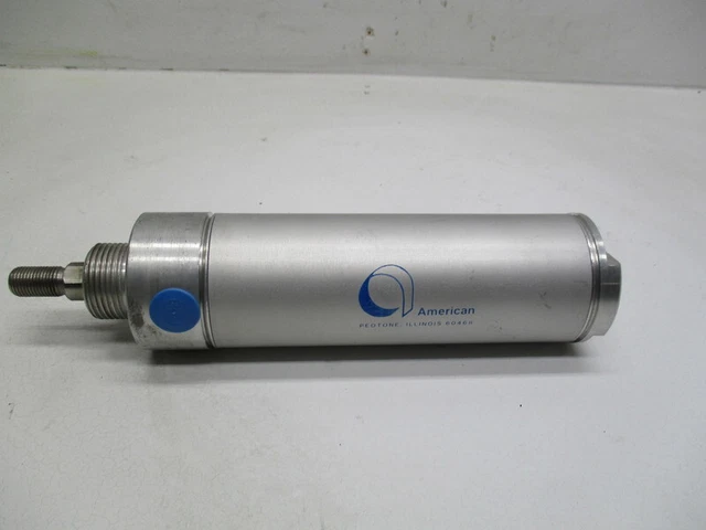 American 2000Dn-4-00-31-36 Cylinder * New No Box *