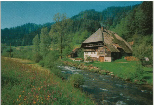 AK -Altes Bauernhaus in Niederwasser - Schwarzwald