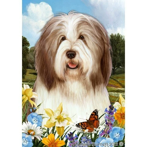 Summer House Flag - Brown and White Bearded Collie 18482