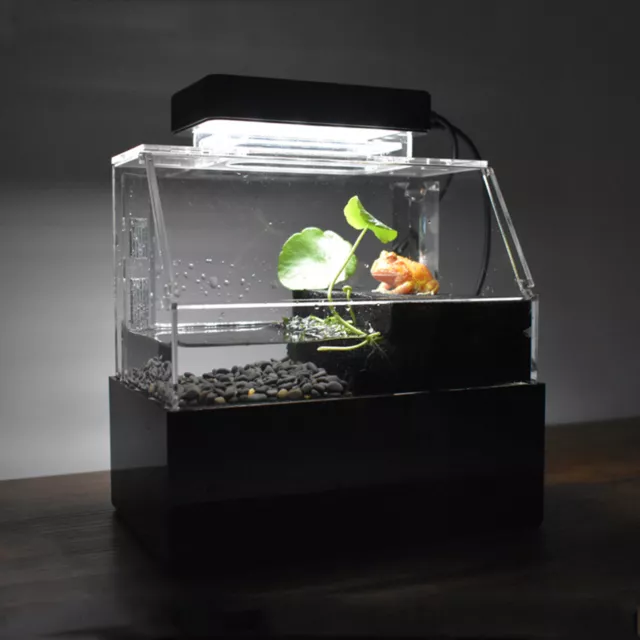 Betta Fish Tank Desktop Mini Aquaponic Aquarium Water Filter LED Light Air Pump