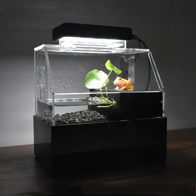 Desktop Acrylic Mini Fish Tank Aquarium Betta Water Filtration Tabletop Decor 2