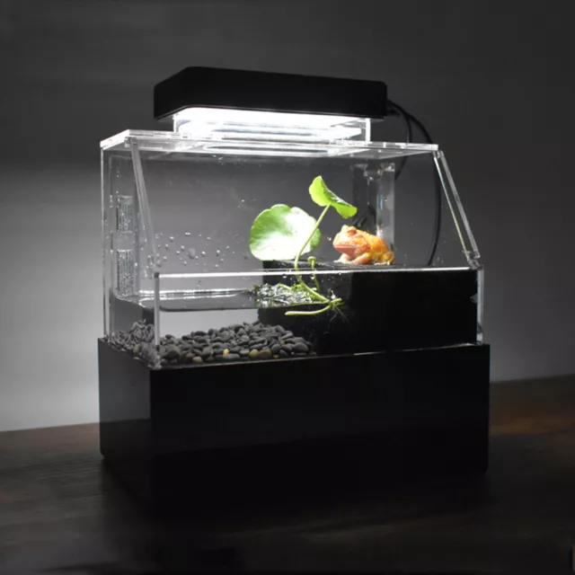 USB Mini Fish Tank LED Small Aquarium Betta Aquarium Office Desktop Decorate New 3