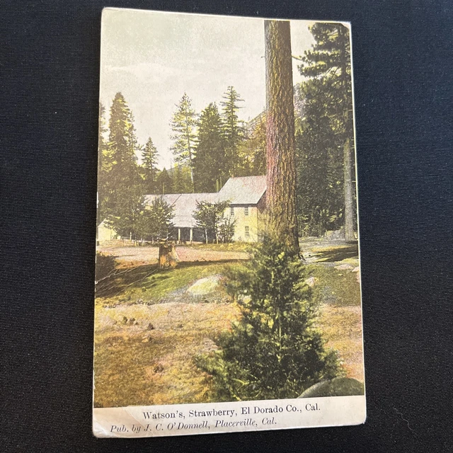 Lake Tahoe~WATSONS STRAWBERRY LODGE El Dorado County California Postcard c.1900s