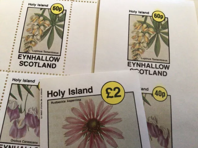 Holy Island Scotland Flowers mint never hinged stamps sheets Ref R49099 2