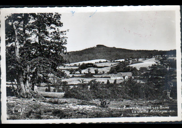 SAINT-HONORE-les-BAINS (58) VILLAS / VIEILLE MONTAGNE cliché période 1950