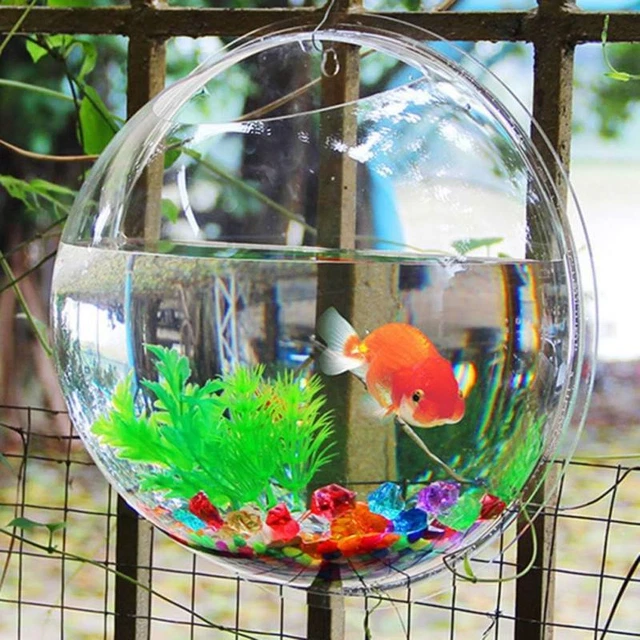 Wall Fish Bowl Hanging Aquarium Wall Mounted Bubble Fish Tank Bowl Decor Planter