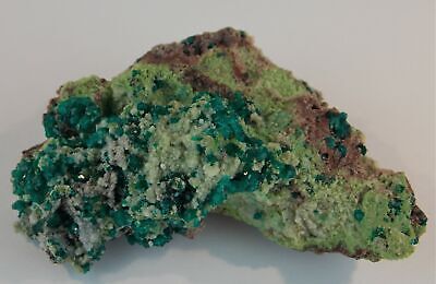 DIOPTASE CRYSTALS with DUFTITE, CALCITE - 6.4 cm - TSUMEB MINE, NAMIBIA 23135