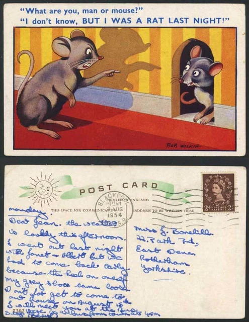 Bob Wilkin 1954 alte Postkarte R Sie Mann oder Maus? Ich war Rat letzte Nacht. Mäuse Ratten