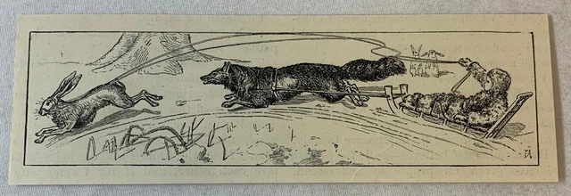 1895 small magazine engraving - WOLF PULLING BOY ON SLED CHASING RABBIT