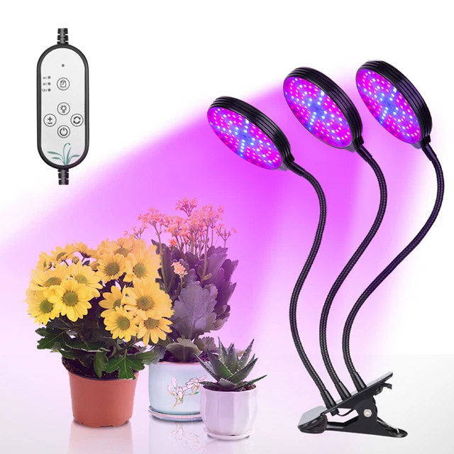 Pflanzenlampe Dimmbar rot & blau  Wachstumslampe Pflanzenlicht H8L7
