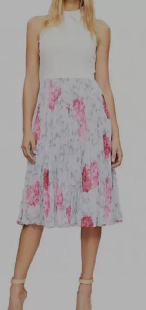 Cornala babylon pleated best sale skirt dress