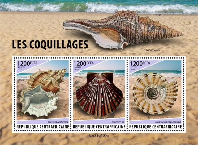 Shells MNH Stamps 2023 Central African M/S