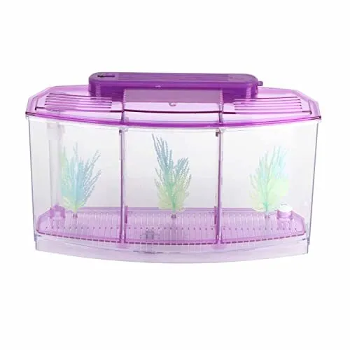 Betta Fish Tank, Adjustable Light Isolation Acrylic Small Aquarium with Purple