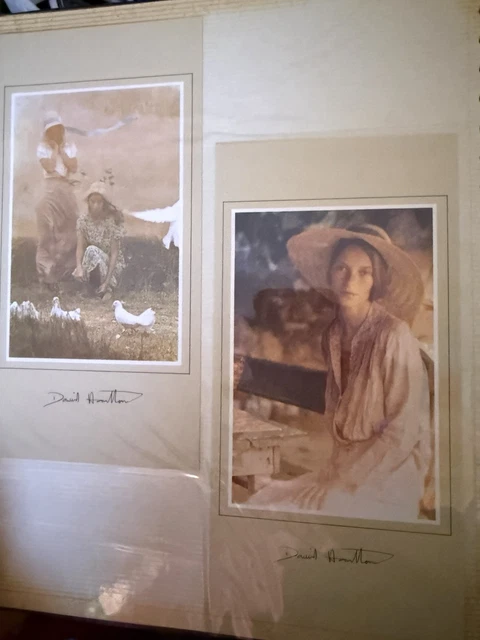 アート・デザイン・音楽 DavidHamilton Editions de La Martiniere DAVID HAMILTON Editions de La Martiniere デイヴィッド・ハミルトン