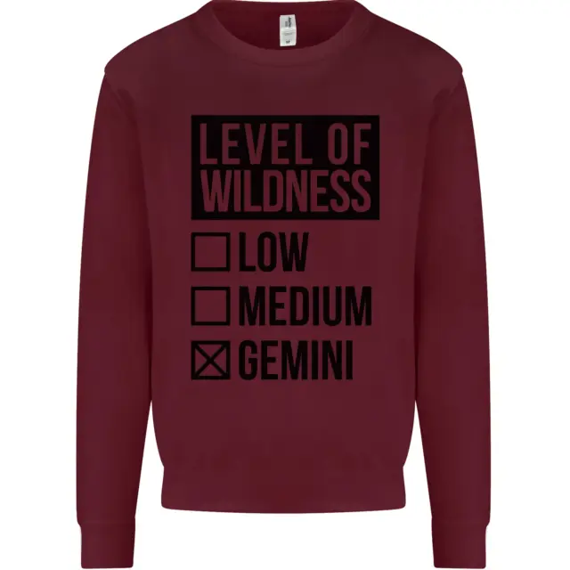 Felpa maglione bambini Levels of Wildness Gemini 3