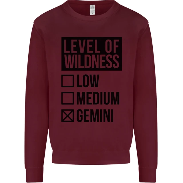 Felpa maglione bambini Levels of Wildness Gemini 3